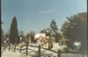 Click to enlarge - Churchyard in the snow 3